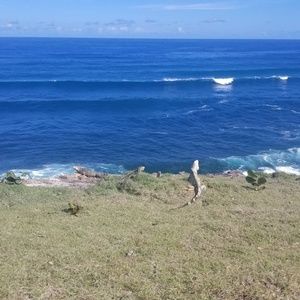 Meet your Posher, Regina